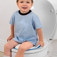 Jual Munchkin Secure Comfort Potty Seat pispot bayi tempat duduk toilet Murah