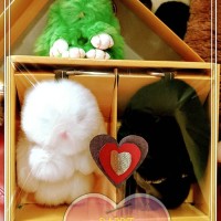 Jual gift box gantungan kelinci rabbit Murah