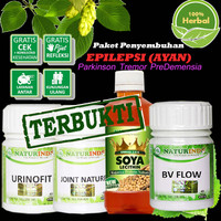 Obat Herbal EPILEPSI AYAN Paket Penyembuhan Naturindo