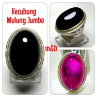 Jual CINCIN KECUBUNG WULUNG JUMBO. HITAM TOTAL, TEMBUS UNGU JIKA DISENTER Murah