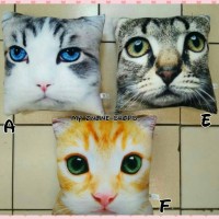 Jual Koleksi Boneka Hot List Bantal Sofa Kucing Grosir Termurah Murah