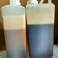 Jual Madu Hutan Sialang Riau 1kg (Murni) Murah