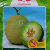 Jual Benih Bibit DIORA F1 Melon, by Cap Panah Merah Murah