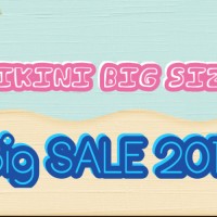 Jual Big Size Bikini Big SALE Collection Murah