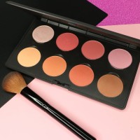 LT Pro Powder Blush / palette blush on