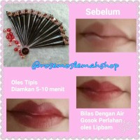 Jual Henna Bibir / Lip Henna Murah