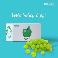 Jual APPLESC / APPLE STEM CELL PLUS Murah