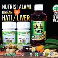 Obat Herbal LIVER Paket Penyembuhan Naturindo