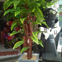 Jual pohon hias plastik | golden lucky| daun hijao Murah