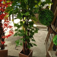 Jual pohon hias|daun anggur| bahan kain plastik Murah