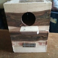Glodok Kotak Lovebird Ternak di Kandang Umbaran / Besar