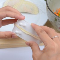 Jual Cetakan Pangsit Gyoza Pastel Dumpling Mold isi 1pcs Murah