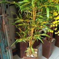Jual pohon hias bambu | bahan daun plastik Murah
