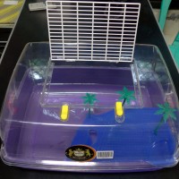 Jual Tempat Kura Kura Tortoise Cage 42 x 34 x 22 cm TMNT-100 Murah