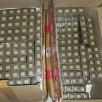 Jual minyak kutus kutus bali 100ml Murah