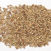 Jual Java Robusta EK Grade 2 Murah