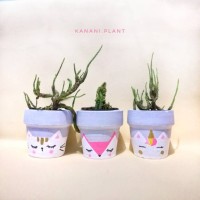 Jual pot gerabah kaktus mini Murah