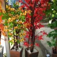 Jual pohon hias westeria bugendvil dan sakura merah| bahan plastik Murah
