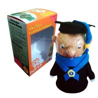 Jual Boneka Horta Wisuda Murah