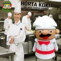Jual Boneka Edukasi Unik: Boneka Horta Koki Murah