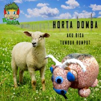 Jual Boneka Edukasi Unik: Boneka Horta Domba Murah