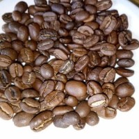 Jual kopi beans Aceh gayo Murah