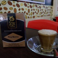 Jual Pea Berry Arabica Gayo Murah