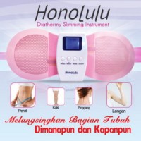 Jual HONOLULU DIATHERMY SLIMMING INSTRUMENT Murah
