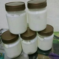 Jual Masker Kefir Original Kemasan Jar Murah