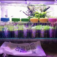Jual My Bottle + Pouch/Bag Infused Water Murah