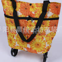 Jual Colorfull Trolley bag shopping tas roda lipat foldable trolly belanja Murah