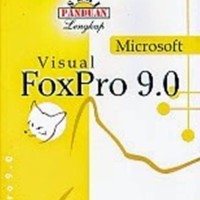 MICROSOFT VISUAL FOXPRO 9.0 - MADCOM - BUKU KOMPUTER B61