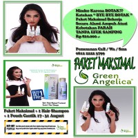 Jual GREEN ANGELICA PENUMBUH RAMBUT green angelica penumbuh rambut Murah