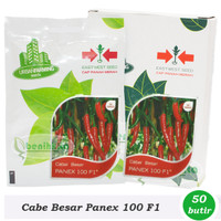 Tanaman Benih/Bibit Cabe Merah Besar Panex 100 F1 (Cap Panah