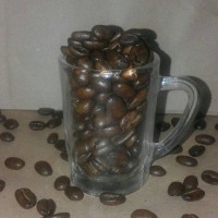 Jual Coffee Bean Arabica Toraja 100gr Murah