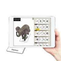 Jual BEST SELLER Original Kartu animal 4D & Kartu Makanannya Berkualitas Murah
