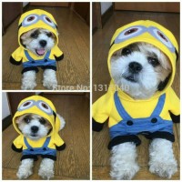 Jual Hobi PREMIUM baju hewan minion kostum anjing kucing pet cloth dog Murah