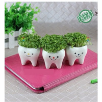 Jual Tanaman pot rumput mini bentuk gigi,pot hias bentu gigi, Murah