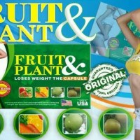 Jual Obat Pelangsing Badan Original Fruit & Plant / Original Pelangsing Murah