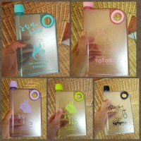 Jual MEMO BOTTLE TOTORO DOFF Murah