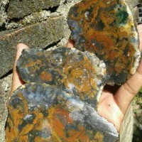Jual Panca warna klawing Murah