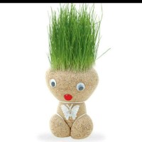 Jual Boneka horta pelihara tumbuh rumput asli Murah