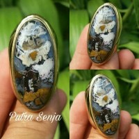 Jual Panca warna ajib 595 Murah