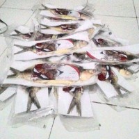 Jual BANDENG GEPUK TANPA TULANG Murah