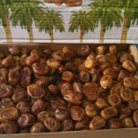 Jual Kurma Sukari Basah 3kg Khusus Grosir.Kemasan Asli Saudi Murah