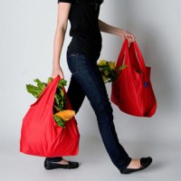 Jual New Baggu Bag Shopping Tas Belanja Spunbond Kantong Tote Bags Murah
