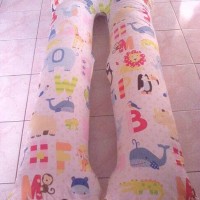 Jual bantal hamil maternity pillow the animal Murah
