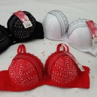Jual PUSH UP BRA TNM (BH.8616.XVN) Murah