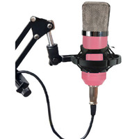 Jual Murah ! Professional Condenser Studio Microphone with Shock Proof Moun Murah