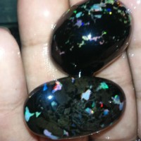 Jual black opal jarong Murah